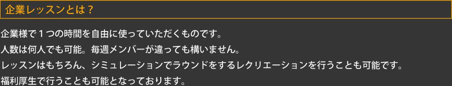 COMPANY LESSON 企業レッスン